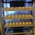 Incubator oua (clocitoare pui) profesional cu intoarcere automata IP-3, 1326 oua prepelita - 528 oua gaina - 378 oua rata / curca - 192 oua gasca [2]
