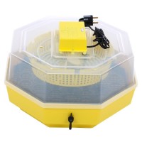 Incubator oua (clocitoare pui) CLEO 5D cu dispozitiv de intoarcere 41 oua gaina