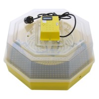 Incubator oua (clocitoare pui) cu afisare temperatura CLEO 5T, 60 oua gaina - 42 oua curca - 50 oua rata - 30 oua gasca - 150 oua prepelita