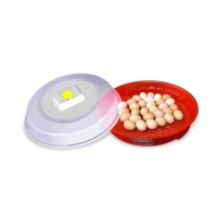 Incubator oua (clocitoare pui) Puisor IO-102 cu intoarcere manuala 70 oua gaina - 120 oua prepelita