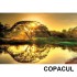 Panou radiant infrarosu imprimat 600 W Dragus + cadou  [2]