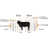 Plasa pentru oi 90 cm lungime 50 m [2]