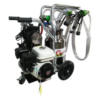 Aparat de muls vaci cu 2 posturi si 1 bidon inox 40L T240 INOX IC + motor Honda 5.5 CP Gardelina