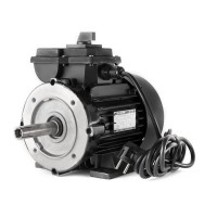 Motor 550W aparat de muls