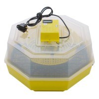 Incubator oua (clocitoare pui) CLEO 5DT cu dispozitiv de intoarcere 41 oua gaina