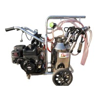 Aparat de muls vaci cu 2 posturi si 1 bidon inox 40L T240 INOX IC + Briggs Stratton 7 CP Gardelina