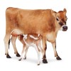 Ingrijirea animalelor