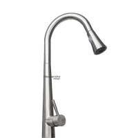 Baterie Bucatarie cu Dus Extractibil, Inox SUS304, Satinat, CF021