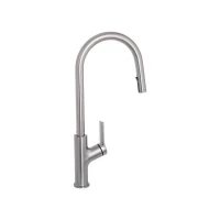 Baterie Bucatarie cu Dus Extractibil, Inox SUS304, Satinat, FJ5542 Baterie Bucatarie cu Dus Extractibil, Inox SUS304, Satinat, FJ5542