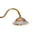 Coloana Dus, Alama Sanitara, Auriu, WZY/310/B [4]