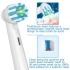 Rezerve periuta de dinti TB-20, compatibil cu Oral-B, Cross Action, 4 buc [2]