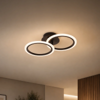 Lustra LED cu telecomanda BETTY 27W, 2 Cercuri, lumina Rece/Calda/Neutra, Dimabila, Negru Lustra LED cu telecomanda BETTY 27W, 2 Cercuri, lumina Rece/Calda/Neutra, Dimabila, Negru