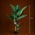 Planta Artificiala Tip Alocasia Cu Frunze Late, 3 trunchiuri, Plastic, 160 cm, Verde [4]