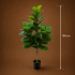 Planta Artificiala Copac Tip Smochin, Plastic, 3 brate, 160 cm, Verde, cu Ghiveci [4]
