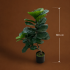 Planta Artificiala Copac Tip Ficus, 2 Ramuri, 100 cm, Verde, cu Ghiveci [4]
