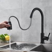 Baterie Bucatarie cu Dus Extractibil, Inox SUS304, Negru, CF018BK