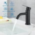 Baterie Lavoar, Inox SUS304, Negru, HS/LY007 [3]