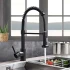 Baterie Bucatarie cu Dus Extractibil, Inox si Alama Negru, YD101BK [2]
