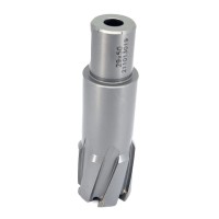 Carota pt. otel din carbura de tungsten, ⌀ 29mm, h=50mm, cu prindere Weldon - DXDY.P-TCT-50.29.W Carota pt. otel din carbura de tungsten, ⌀ 29mm, h=50mm, cu prindere Weldon - DXDY.P-TCT-50.29.W