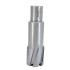 Carota pt. otel din carbura de tungsten, ⌀ 29mm, h=50mm, cu prindere Weldon - DXDY.P-TCT-50.29.W [3]