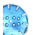 Disc cu segmenti diamantati pt. slefuire pardoseli - segment fin - Albastru - 250 mm - prindere 19mm - DXDY.8500.250.63 [2]