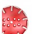 Disc cu segmenti diamantati pt. slefuire pardoseli - segment mediu - Rosu - 250 mm - prindere 19mm - DXDY.8500.250.43 [3]