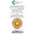 Disc cupa diamantata cu dinti alternativi pentru slefuire rapida de Beton si Abrazive 115mmx22,2mm PREMIUM - DXDY.PLCC.115 [4]