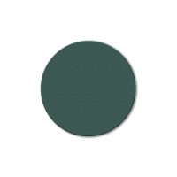 Pad abraziv mediu verde, 483mm - pt. Ipertitina / Plus - Raimondi-340V Pad abraziv mediu verde, 483mm - pt. Ipertitina / Plus - Raimondi-340V
