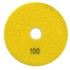 Paduri / dischete diamantate pt. slefuire umeda #100 Ø100mm - DXDY.WETPAD.100.0100 [5]