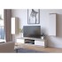 Comoda TV cu 2 usi si rafturi centrale, PAL laminat, 160x40x33 cm, stejar sonoma si alb [5]