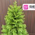 Brad artificial Sersimo, Alindra Elite, verde, integral 3D, 240 cm [4]