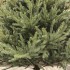 Brad artificial Sersimo, Ayenna Elite, verde, integral 3D, 200 cm [8]