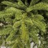 Brad artificial Sersimo, Mariális Elite, verde, integral 3D, 200 cm [2]
