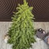 Brad artificial Sersimo, Mariális Elite, verde, integral 3D, 200 cm [5]