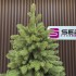 Brad artificial Sersimo, Silvee Elite, verde, integral 3D, 220 cm [8]