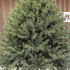Brad artificial Sersimo, Sionne Elite, verde, integral 3D, 200 cm [9]