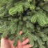 Brad artificial Sersimo, Sionne Elite, verde, integral 3D, 240 cm [12]