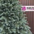 Brad artificial Christmas Deluxe by Sersimo, Alaska Select verde argintiu, integral 3D, 300 cm [10]