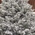 Brad artificial Christmas Deluxe by Sersimo, Alpin Select nins, integral 3D, 300cm [12]