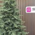 Brad artificial Christmas Deluxe by Sersimo, Viena Select, integral 3D, 300 cm [4]