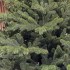 Brad artificial Christmas Deluxe by Sersimo, Viena Select, integral 3D, 300 cm [7]