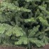 Brad artificial Christmas Deluxe by Sersimo, Viena Select, integral 3D, 300 cm [11]