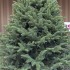 Brad artificial Christmas Deluxe by Sersimo, Alaska, verde, mix 2D+3D, 230 cm [5]