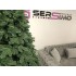 Brad artificial Christmas Deluxe by Sersimo, Canada verde, 3D, 250cm [15]
