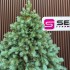 Brad artificial Sersimo, Hollandia, verde cu varfuri argintii, integral 3D, 250 cm [12]