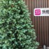 Brad artificial Sersimo, Hollandia, verde cu varfuri argintii, integral 3D, 250 cm [16]