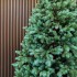 Brad artificial Sersimo, Hollandia, verde cu varfuri argintii, integral 3D, 250 cm [6]