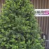 Brad artificial Sersimo, Hollandia, verde cu varfuri verzi, integral 3D, 180 cm [2]