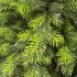 Brad artificial Sersimo, Hollandia, verde cu varfuri verzi, integral 3D, 230 cm [12]