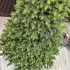 Brad artificial Sersimo, Hollandia, verde cu varfuri verzi, integral 3D, 230 cm [10]